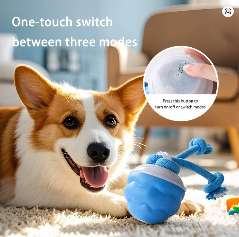 1 Interactive Intelligent Dog Ball Toy|USB Charging,Bite Resistant,Tail Rope,Light&Barking|Indoor Pet Game for Small/Medium Dogs